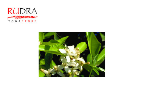 Petitgreins (Calendula), 5ml